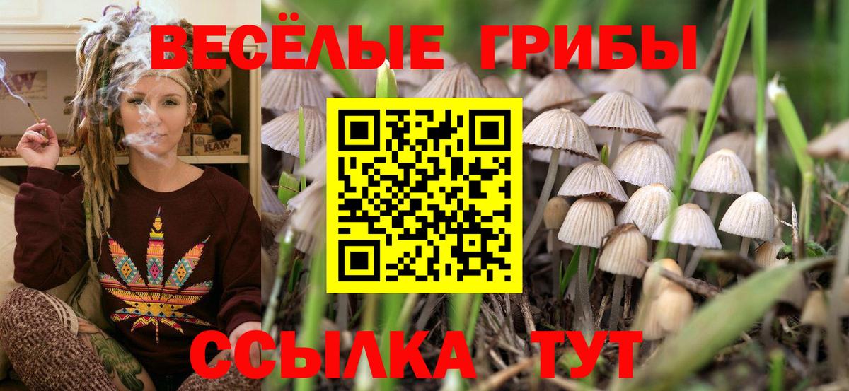 Галлюциногенные грибы мицелий  Псилоцибиновые грибы GOLDEN TEACHER  Вход с VPN  Сосновый Бор 