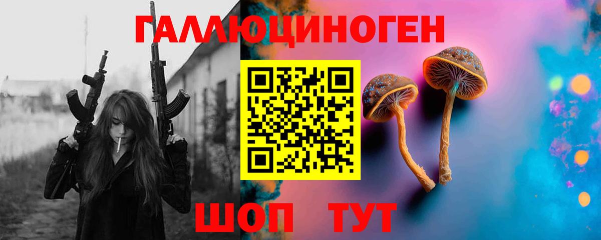 Галлюциногенные грибы Cubensis Сосновый Бор